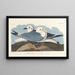 Möwentridactyle - John James Audubon — gerahmtes Bild an der Wand