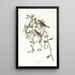 Sizerin flammé - John James Audubon — gerahmtes Bild an der Wand