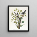 Pie-grièche migratrice - John James Audubon — gerahmtes Bild an der Wand