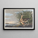 Kurzohr-Curlew - John James Audubon — gerahmtes Bild an der Wand