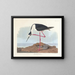Langbein-Scharbe - John James Audubon — gerahmtes Bild an der Wand