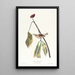 Grive de Louisiane - John James Audubon — gerahmtes Bild an der Wand