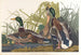 Stockente - John James Audubon — Ansicht des Kunstwerks