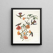 Kolibri aus Mangroven - John James Audubon — gerahmtes Bild an der Wand