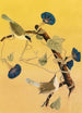 Parulines du Maryland - John James Audubon — Ansicht des Kunstwerks