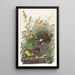 Sturnelle des prés - John James Audubon — gerahmtes Bild an der Wand