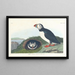 Macareux - John James Audubon — gerahmtes Bild an der Wand