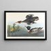 Harle huppé - John James Audubon — gerahmtes Bild an der Wand