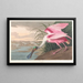 Spatule rosée - John James Audubon — gerahmtes Bild an der Wand