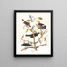 Grakle rouillé - John James Audubon — gerahmtes Bild an der Wand