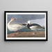 Gänse des Schnees - John James Audubon — gerahmtes Bild an der Wand
