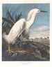 Heronschneeschneegans oder Weißstorch - John James Audubon — Ansicht des Kunstwerks