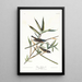 Moucherolle solitaire ou viréo - John James Audubon — gerahmtes Bild an der Wand