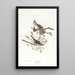 Bruant Sänger - John James Audubon — gerahmtes Bild an der Wand