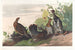 Geleintte gefleckt - John James Audubon — Ansicht des Kunstwerks