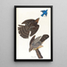 Faucon de Stanley - John James Audubon — gerahmtes Bild an der Wand