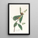 Paruline de Swainson - John James Audubon — gerahmtes Bild an der Wand