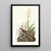 Grive fauve - John James Audubon — gerahmtes Bild an der Wand