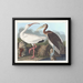 Ibis blanc - John James Audubon — gerahmtes Bild an der Wand