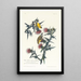 Chardonneret jaune oder Chardonneret d'Amérique - John James Audubon — gerahmtes Bild an der Wand