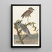 Heron gekrönt - John James Audubon — gerahmtes Bild an der Wand