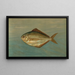 Der Dollar-Fisch oder Butter-Fisch, Rhombus triacanthus - John L. Petrie — gerahmtes Bild an der Wand
