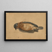 Vogel tot - John La Farge — gerahmtes Bild an der Wand