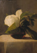 Magnolie - John La Farge — Ansicht des Kunstwerks