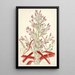 Collectanea botanica Pl01 - John Lindley — gerahmtes Bild an der Wand