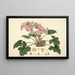 Collectanea botanica Pl07 - John Lindley — gerahmtes Bild an der Wand