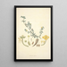 Collectanea botanica Pl10 - John Lindley — gerahmtes Bild an der Wand