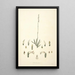 Collectanea botanica Pl30 - John Lindley — gerahmtes Bild an der Wand