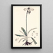 Collectanea botanica Pl32 - John Lindley — gerahmtes Bild an der Wand