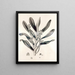 Collectanea botanica Pl. 38 - John Lindley — gerahmtes Bild an der Wand