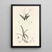 Collectanea botanica Pl39 - John Lindley — gerahmtes Bild an der Wand