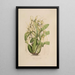 Sertum orchidaceum Eine Krone der schönsten Orchideenblumen Pl06 - John Lindley — gerahmtes Bild an der Wand