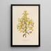 Sertum orchidaceum Eine Krone der schönsten Orchideenblumen Pl12 - John Lindley — gerahmtes Bild an der Wand