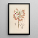 Sertum orchidaceum Eine Krone der schönsten Orchideenblumen Pl13 - John Lindley — gerahmtes Bild an der Wand