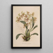 Sertum orchidaceum Eine Krone der schönsten Orchideenblumen Pl25 - John Lindley — gerahmtes Bild an der Wand