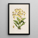 Sertum orchidaceum Eine Krone der schönsten Orchideenblumen Pl39 - John Lindley — gerahmtes Bild an der Wand