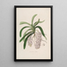 Sertum orchidaceum Eine Krone der schönsten Orchideenblumen Pl47 - John Lindley — gerahmtes Bild an der Wand