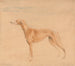 Der Jagdhund Thomasine - John Linnell — Ansicht des Kunstwerks