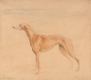 Der Jagdhund Thomasine - John Linnell — Ansicht des Kunstwerks