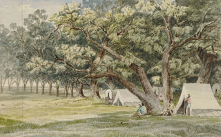 John Mix Stanley - A Cottonwood Grove.webp