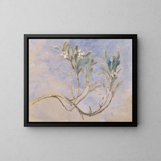 John Ruskin - Study of a Sprig of a Myrtle Tree.webp