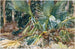 Palmen - John Singer Sargent — Ansicht des Kunstwerks