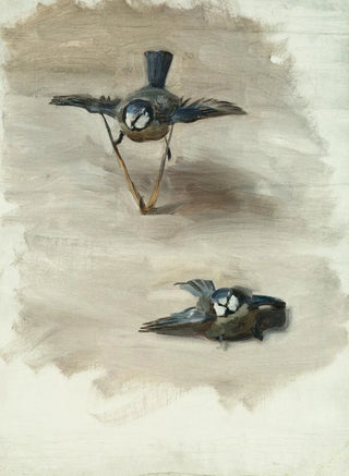 John Singer Sargent - Studies of a Dead Bird.webp