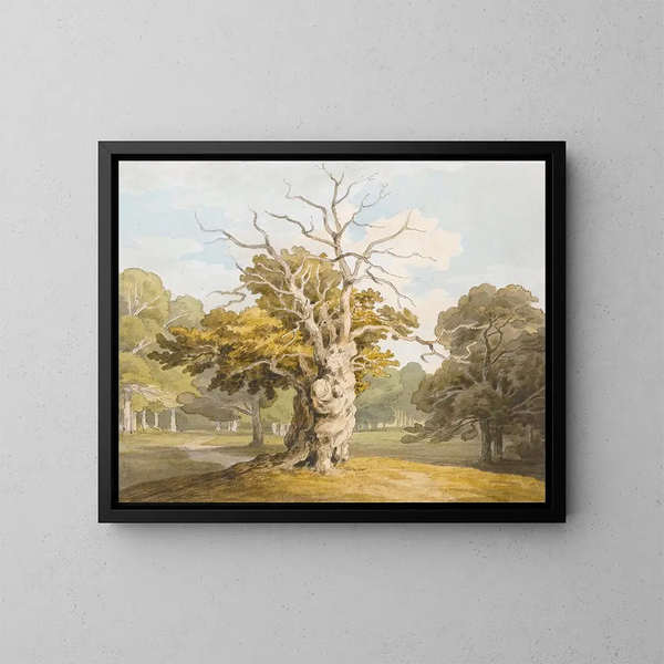 Ein Eichenbaum in Kedleston Hall, Derbyshire - John White Abbott — gerahmtes Bild an der Wand
