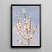 Pfingstrosen - John William Hill — gerahmtes Bild an der Wand