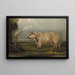 Ein junger Stier - John Woodhouse Audubon — gerahmtes Bild an der Wand